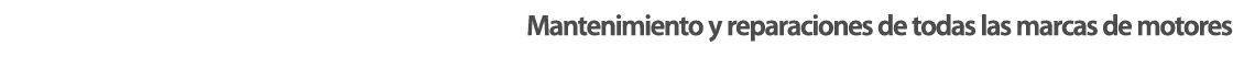 Mantenimiento y reparaciones de todas las marcas de motores